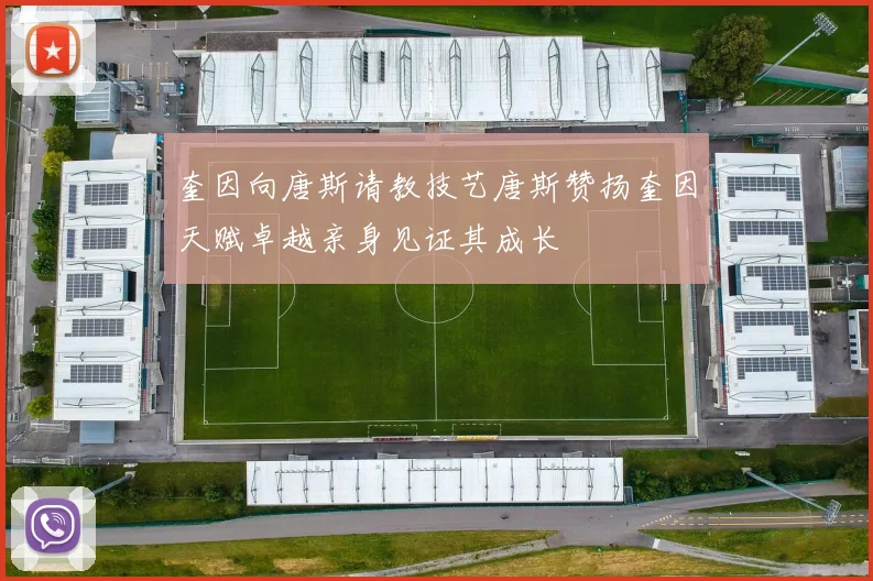 奎因向唐斯请教技艺唐斯赞扬奎因天赋卓越亲身见证其成长