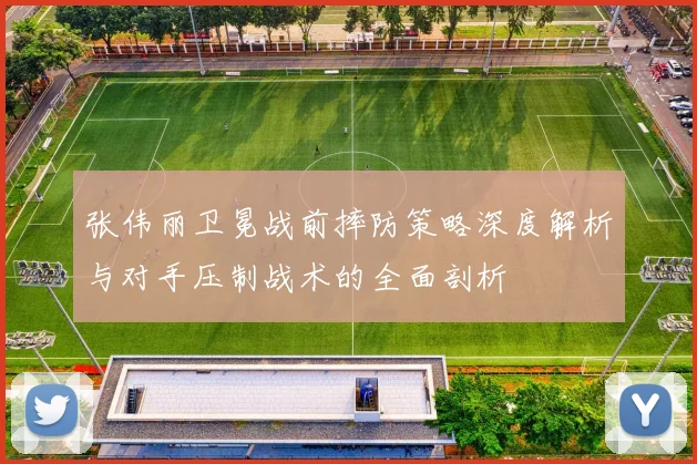 张伟丽卫冕战前摔防策略深度解析与对手压制战术的全面剖析