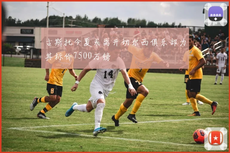 古斯托今夏或离开切尔西俱乐部为其标价7500万镑