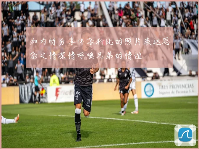 加内特分享怀念科比的照片表达思念之情深情呼唤兄弟的情谊